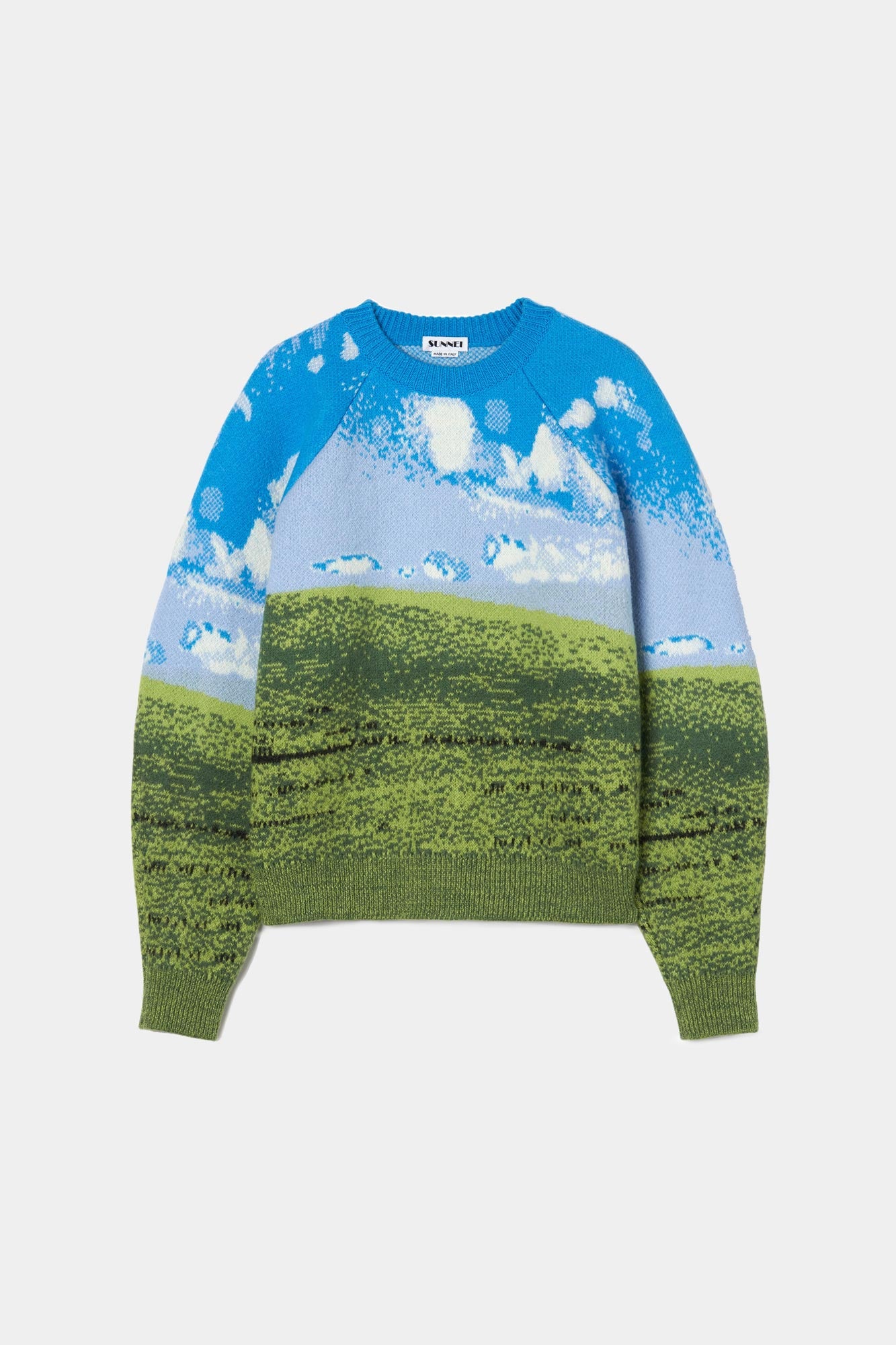 BLISS FELTED OVERSIZE JUMPER / azure & green