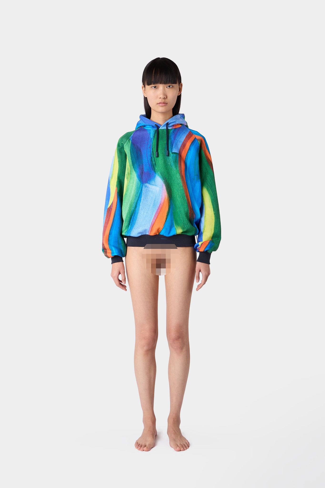 EMBROIDERED EIWS HOODIE / multicolor allover print