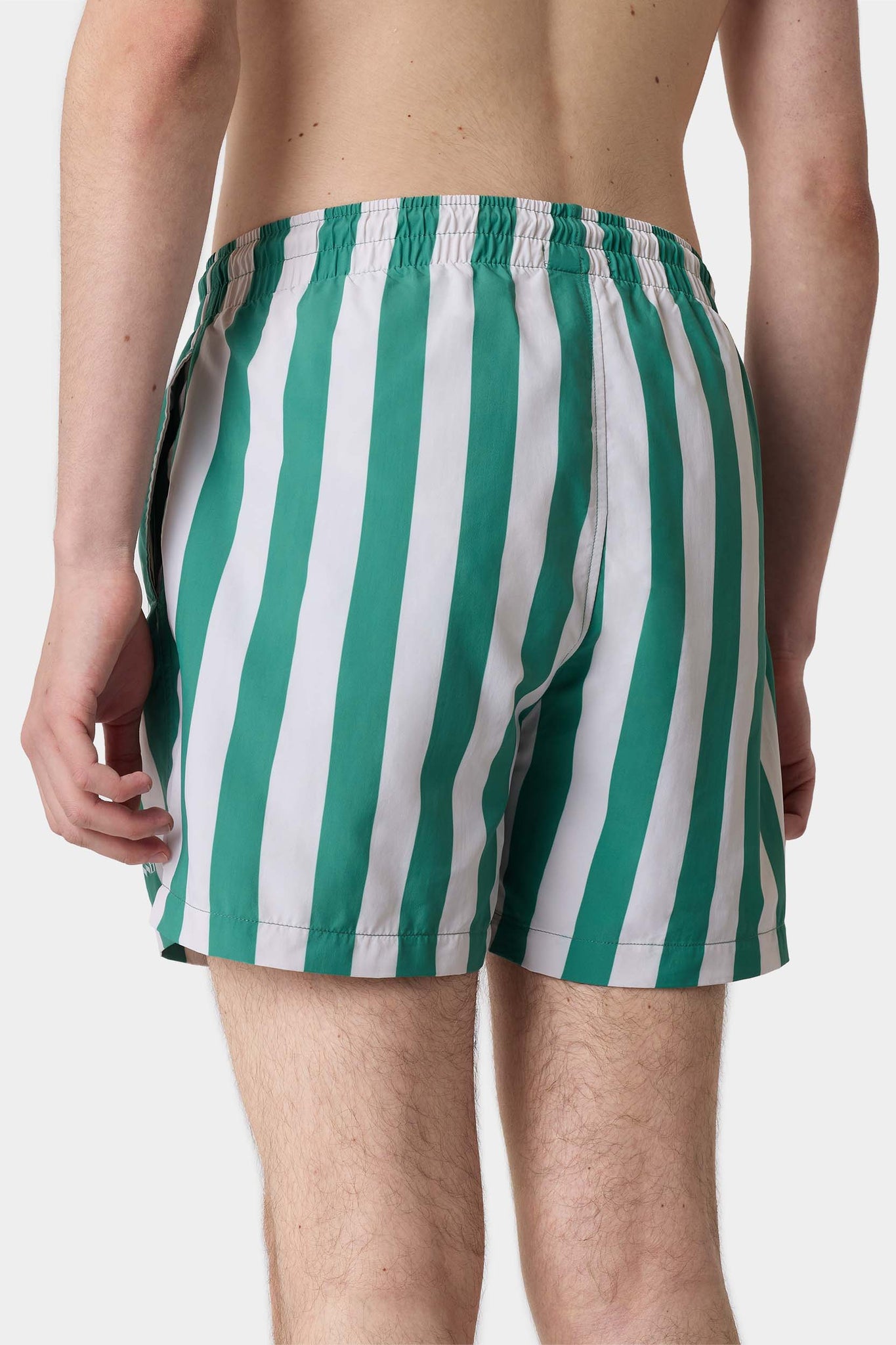 SWIM SHORTS / off white & green stripes