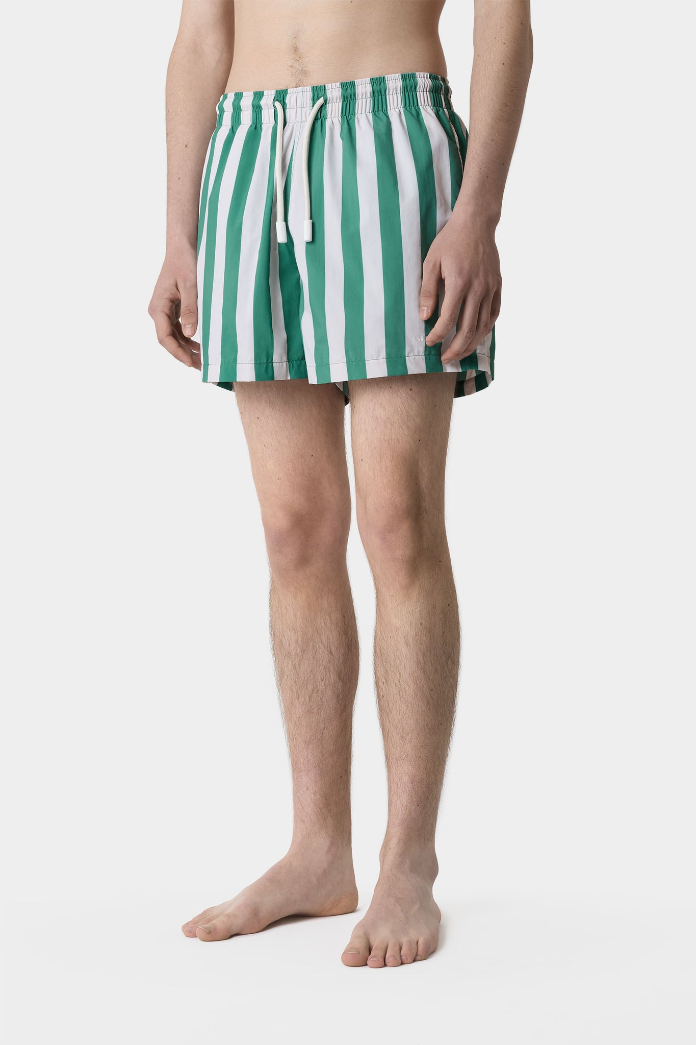 SWIM SHORTS / off white & green stripes