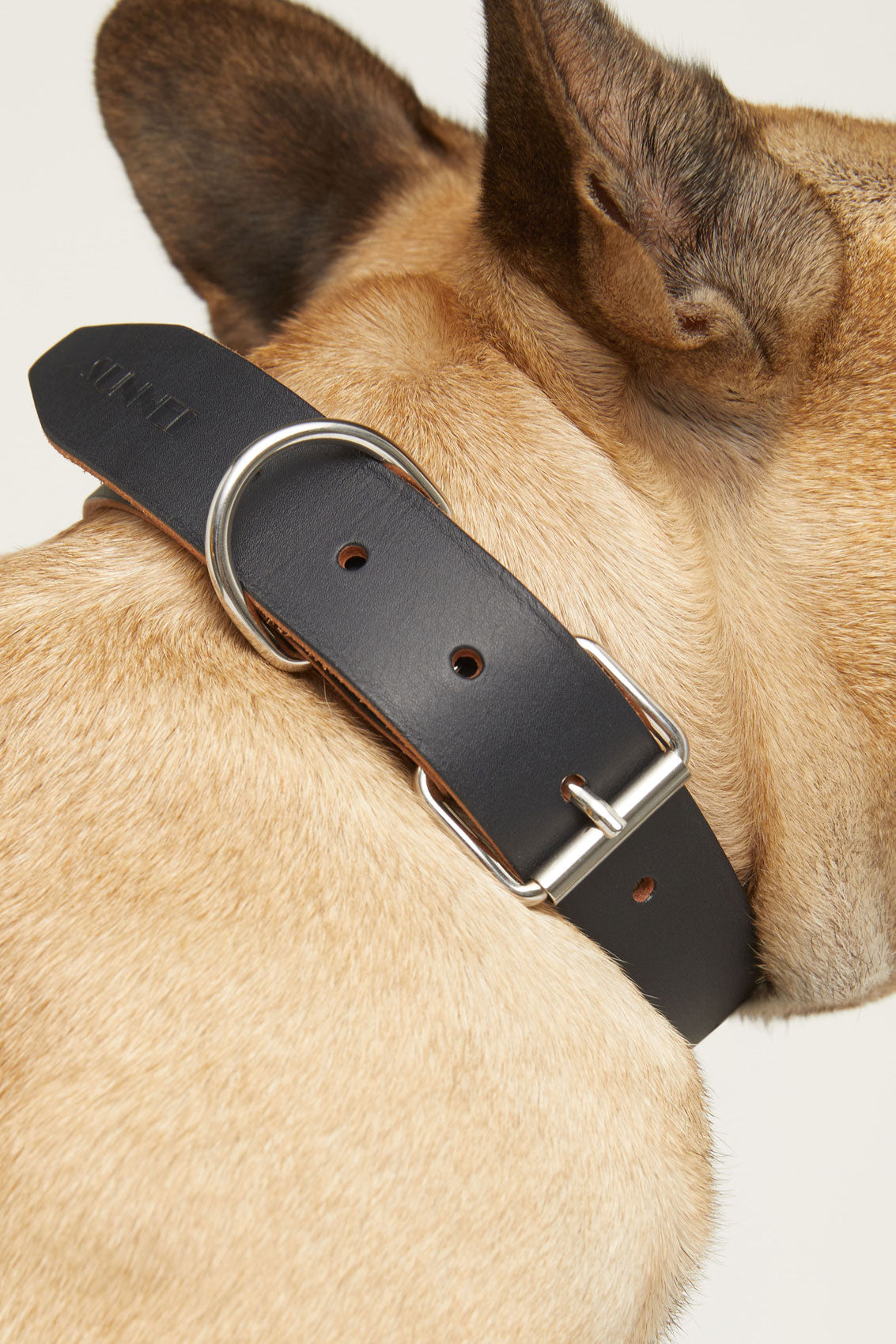 NAVY LEATHER COLLAR